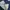 JACKET JEANS DENIM GU SHERPA photo 6