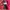 Tommy Hilfiger for her, Pink Printed Pullover Hoodies photo 8