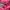 Tommy Hilfiger for her, Pink Printed Pullover Hoodies photo 4