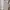 Freakonomics - Stephen D Levitt & Stephen J Dubner photo 4