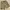 Nautica Utility Nylon Side Pocket Cargo photo 1