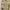 Nautica Utility Nylon Side Pocket Cargo photo 3