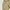 Nautica Utility Nylon Side Pocket Cargo photo 8