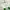 Von Dutch Y2K Sportswear Track jacket Wanita green white photo 3