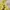 Polo Ralph Lauren Vintage Y2K Parka Pria yellow photo 2