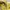 Polo Ralph Lauren Vintage Y2K Parka Pria yellow photo 5