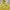 Polo Ralph Lauren Vintage Y2K Parka Pria yellow photo 3