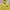Polo Ralph Lauren Vintage Y2K Parka Pria yellow photo 4