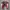 Asics Vintage Streetwear Sneakers Pria burgundy white photo 4