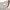 They buttonless oversize rib knitted ss polo shirt beige ove photo 4
