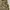 Nike ACG Training Shorts Side Pocket Cargo photo 8