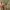 Nike ACG Training Shorts Side Pocket Cargo photo 6
