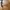 Dolce and Gabbana sunglasses  photo 5