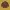Converse Vintage Windbreaker Pria brown photo 1