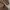 Converse Vintage Windbreaker Pria brown photo 5