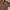 Converse Vintage Windbreaker Pria brown photo 7