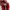 Puma Speedcat OG Red White photo 5