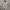 Vintage Lee Cooper long coat jacket photo 1