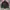 Tracktop umbro photo 1