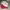 adidas superstar cny 2018 photo 1