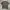 TSHIRT NIKE POCKET photo 6