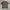 TSHIRT NIKE POCKET photo 2