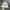 Converse UV Activated Bucket Hat photo 4