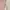 Mukenah Murah Parasut warna pink aesthetic photo 2