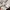 AMI Paris Streetwear Sweater Pria white gray photo 2