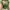Y2K Fairy Crop Top Wanita Green