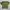 Y2K Fairy Crop top Wanita green photo 3