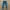 Cinema Club Minimalist Casual Jeans Pria Navy Blue