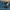 Cinema Club Minimalist Casual Jeans Pria navy blue photo 5