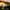 Adidas Lifestyle Superstar Black Stripes Grey Yellow photo 6