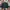 Bomber Jacket GXG photo 1