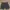 Vintage Y2K Short Pria black photo 6
