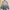 Sweater Reebok two tone color unisex photo 1