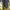 REEBOK SHORTS photo 8