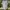Patagonia Casual T-shirt Pria white photo 1