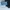 Trucker hat von Dutch  photo 5