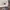 T-Shirt Jersey Paris Saint Germain Away 2018/2019 photo 3