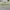 T-Shirt Jersey Paris Saint Germain Away 2018/2019 photo 2