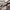 T-Shirt Jersey Paris Saint Germain Away 2018/2019 photo 7