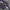 Umbro Vintage Sportswear Jersey Pria multicolor photo 8