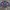 Umbro Vintage Sportswear Jersey Pria multicolor photo 2