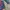 Umbro Vintage Sportswear Jersey Pria multicolor photo 6