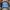 Bomber Jacket Aeroclub Stroke photo 2