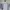 The North Face Sportswear T-shirt Pria white navy photo 1