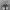Adidas campus 00s black White  photo 3