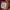 BABY CONVERSE STAR 22 toddler photo 3